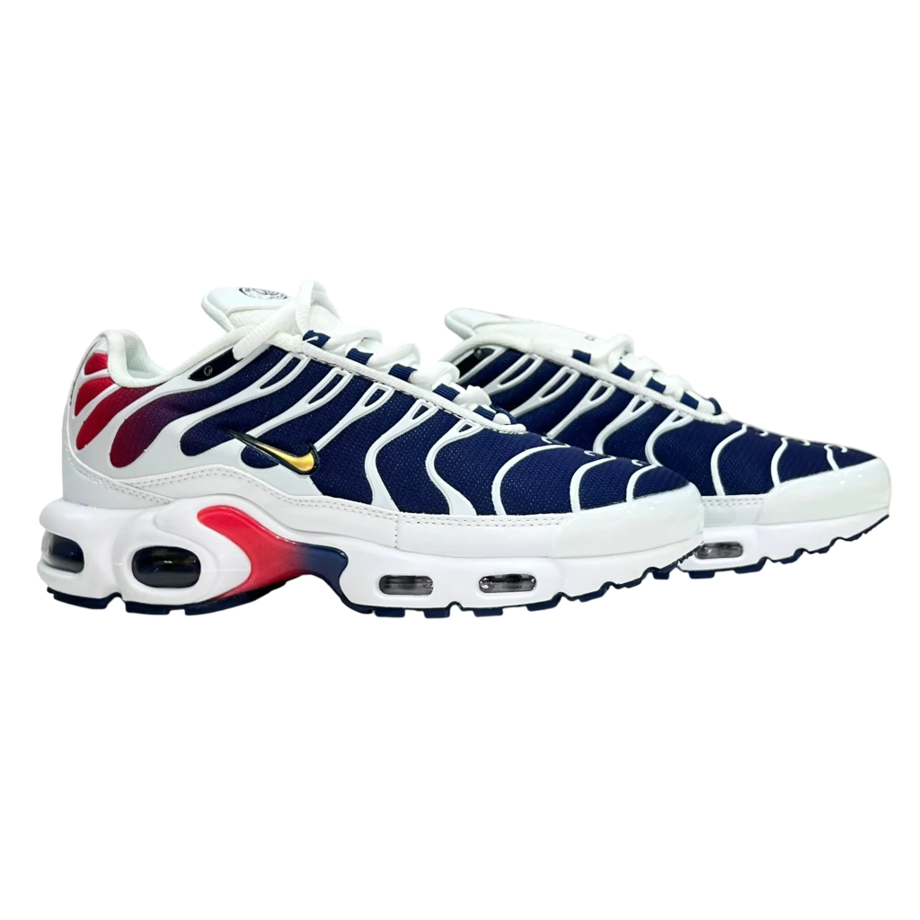 Air Max TN Plus 1 “PSG Importado”
